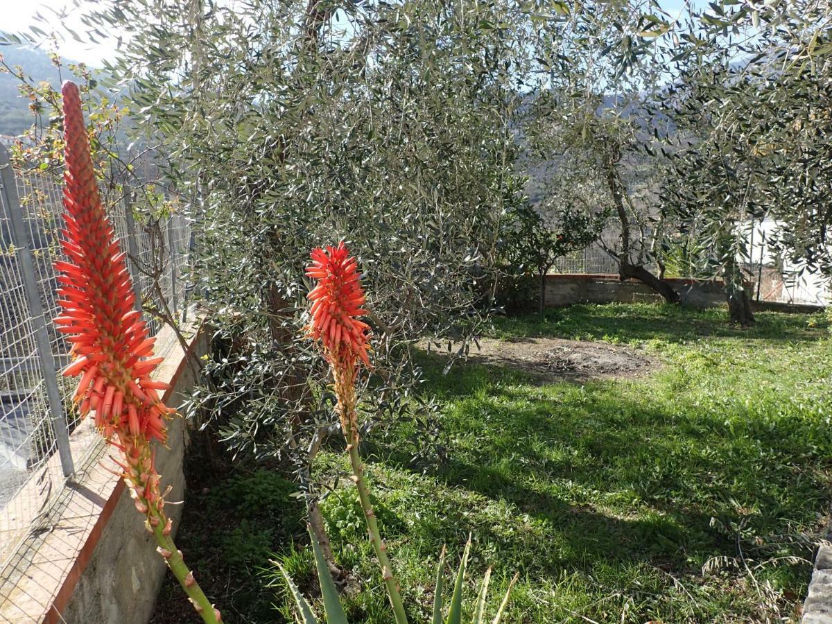 Casetta Tra Gli Ulivi Vicina Al Mare Giustenice Exterior foto